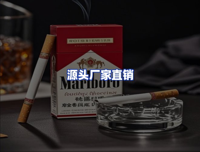 专业团队